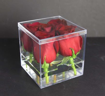 挿入物が付いているアクリルのプレキシガラスの花箱
